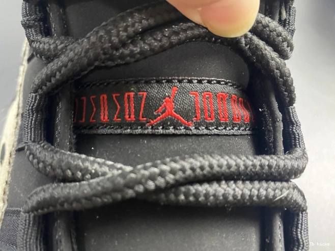 Rep TBK AIR AR0715-010 ANIMAL JORDAN INSTINCT 11 0710